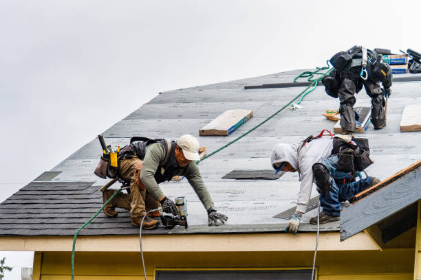 Professional Gutter Installation technician working in Sugar Tree, TN